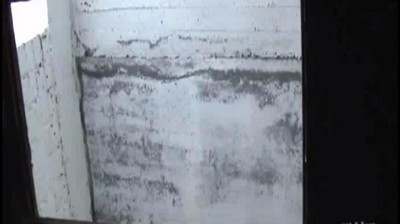 Женские письки секс